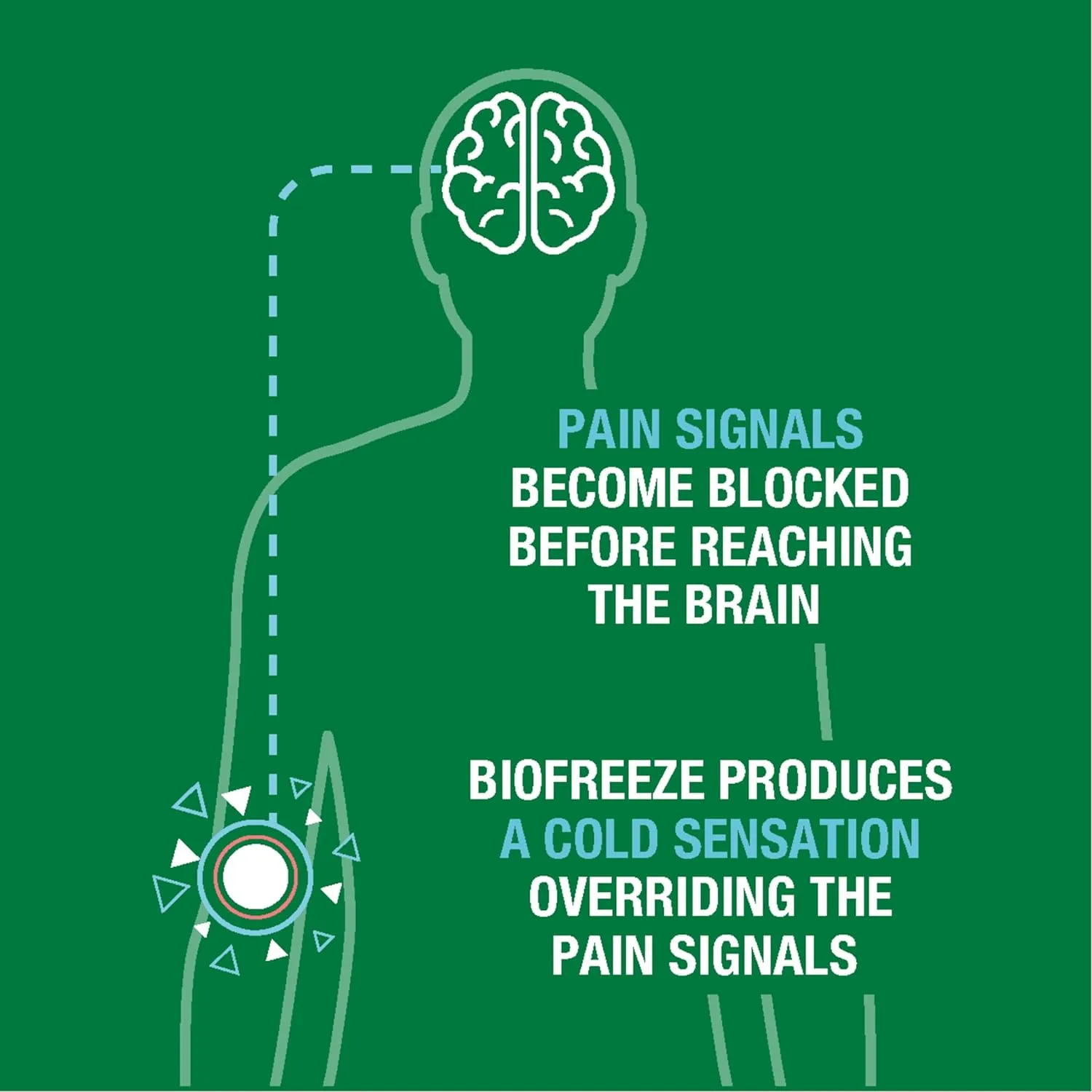 Biofreeze Pain Relief Gel Roll-On 2.5 FL OZ